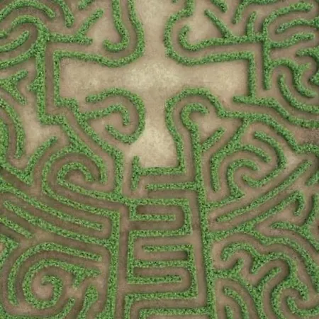 Adiva