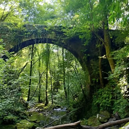 Διαμέρισμα Adiva *